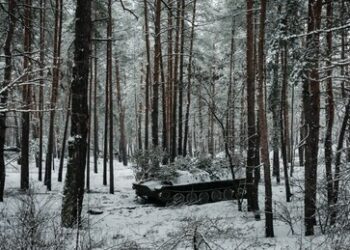 Sieben gewaltige Irrtümer des Westens über Russlands "Winteroffensive" in der Ukraine