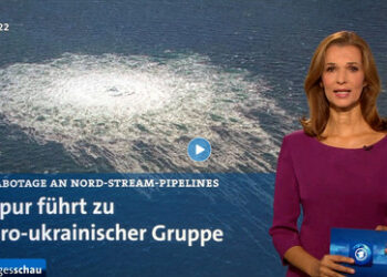 ARD-Tagesschau ‒ "Erklär-Bär für Idioten"
