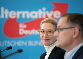 Aktuelle Sonntagsfrage: AfD erstmals seit 2018 wieder vor Grünen