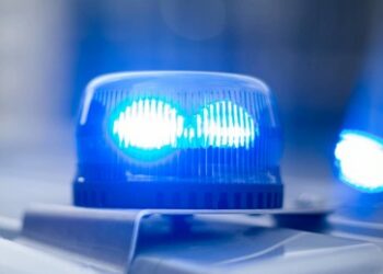 Bei Suche nach vermisstem Mädchen: Weiblicher Leichnam in Waldstück bei Freudenberg gefunden