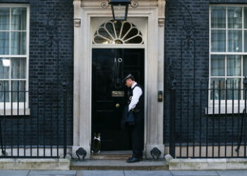 Corona-Krise: Britische Regierung erwog Tötung aller Hauskatzen