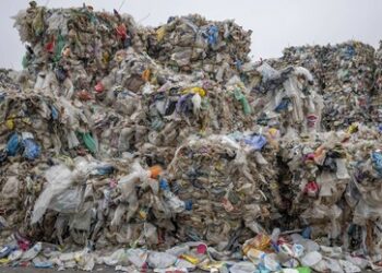 Mögliche Lösung für Müllproblem? Enzym zersetzt Plastik in Rekordgeschwindigkeit