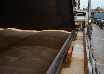 Moskau stellt Ultimatum zum Getreidedeal: Exporte aus Russland binnen 60 Tagen freigeben