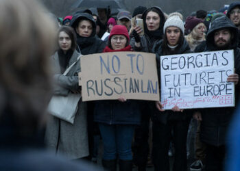 NGO-Gesetze in Georgien und EU: Freiheit "ohne Grenzen" versus "Bündel Brennholz"