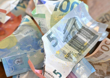 Polnische Nationalbank warnt vor Beitritt zur Euro-Zone