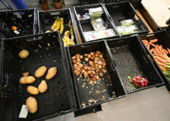 Ruinöse Sozialpolitik: Sozialverband warnt vor Hunger in Deutschland