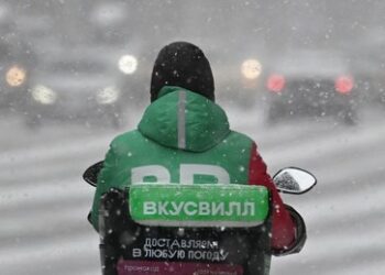 Russische Supermarktkette Wkuswill startet Lieferdienst in Dubai