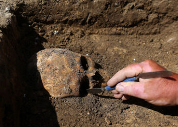 Studie: Eiszeitliche Europäer überlebten in Spanien, starben jedoch in Italien