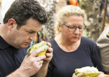 Wofür will Deutschland in Ghana Arbeitskräfte stehlen?