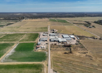 Der Senat von Texas verabschiedet ein Gesetz, das feindlichen Nationen den Kauf von Ackerland verbietet