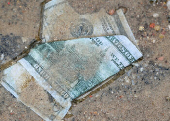 Aufbruch in eine Welt ohne Dollar