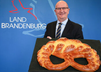 Brandenburg: Umfrage sieht AfD als stärkste Partei