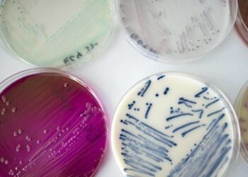 Charité: "Superkeime" als Mitbringsel aus der Ukraine