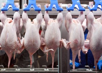 Eine stille Revolution: Die Welt steht bald Schlange für russische Lebensmittel