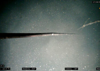 Ermittlungen zu Nord Stream: Staatlicher Akteur steckt hinter dem Terroranschlag