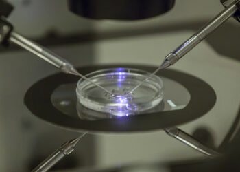 Erste mit Hilfe eines Roboters gezeugte Babys kommen zur Welt