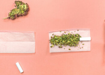 High sein, frei sein: Lauterbach-Pläne sehen Besitz von 25 Gramm Cannabis vor