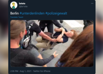 Menschenrechtsverletzungen: AfD fordert Monitoring Deutschlands durch Europarat