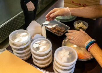 Neues Greenpeace-Meldeportal: "MeldeheldIn" oder schlichtes Denunziantentum