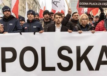 Polen fordert Schutzzölle: Ukrainisches Getreide destabilisiert die polnische Landwirtschaft