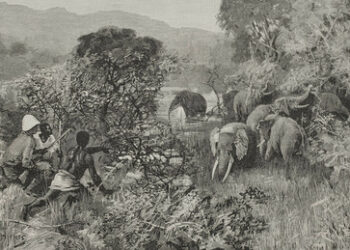 Warum der Westen einen Faustschlag ins Gesicht verdient