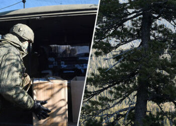 "Taten statt Worte": Freiwilliger Einsatz einer zweifachen Mutter aus der Region Transbaikalien