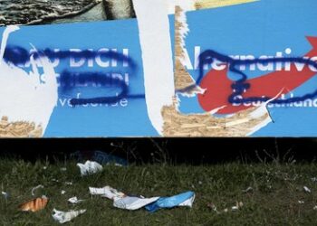 AfD-Pressemitteilung: Messerangriff auf Kreistagsmitglied in Schleswig-Holstein