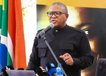 Chef des Afrikanischen Nationalkongresses: Südafrika könnte Putin trotz IStGH-Entscheidung einladen