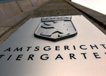 Drei Gründe, warum Paul Brandenburgs Verurteilung vermutlich schon im Vorfeld feststand