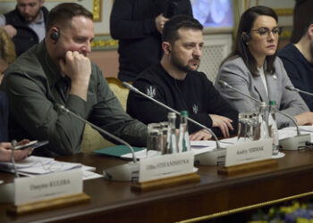 Freundliche Übernahme: Was kostet die Ukraine?