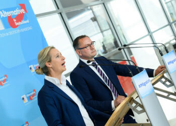 Fünf-Jahres-Hoch bei Umfrage: AfD nun bei 17 Prozent, Stern der Grünen sinkt weiter