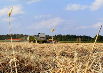 Gespräche über Verlängerung des Getreidedeals in Sackgasse