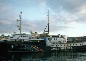 Greenpeace hat seinen geheimen Krieg gegen Russland verloren