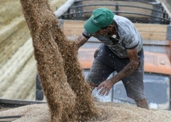 Japan steigert drastisch Getreideimporte aus Russland