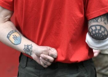 Kiews Neonazis – Warum verhaftet Frankreich "Kämpfer gegen russische Aggression"?