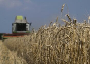 Rebelión: Ukraine wird Schulden beim IWF mit ihrem Ackerland begleichen müssen