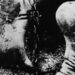 Russlands historischer Irrtum: Faschismus begann und endete nicht mit Hitler und Mussolini
