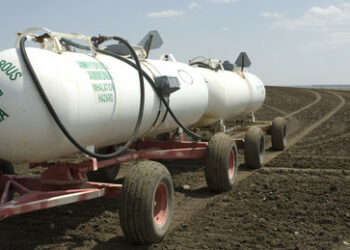 UNO: Bisher keine Düngemittelexporte im Rahmen des Getreideabkommens