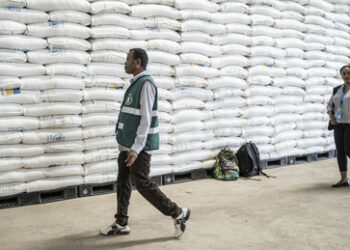 Veruntreuung von Hilfsgütern: US- und UN-Organisationen setzen Nahrungsmittelhilfe für Tigray aus