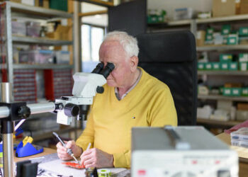 Bis zur Rente arbeiten können? Nicht in der Bau- und Forstwirtschaft