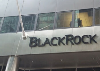 BlackRock-Mitarbeiter: "Sie haben 10.000 Dollar? Sie können einen US-Senator kaufen"