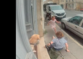 Bordeaux: 73-Jährige und Enkelin in Hauseingang brutal angegriffen