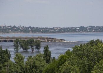 Bürgermeister: Tausende Tiere im Nationalpark durch Überschwemmung getötet