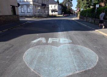 Der mysteriöse Aufstieg der AfD
