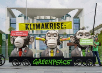 Die Rolle der NGOs – oder wie die simulierte Demokratie die reale erdrückt