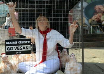 Ein Herz für Elon Musk: PETA-Gründerin will ihre Organe nach dem Tod verteilen