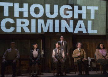 Grüne Partei Irlands fordert Einschränkung des Rechts auf freie Meinungsäußerung