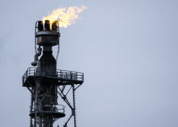 Kommersant: Russlands Benzinexporte seit Jahresbeginn um 37 Prozent angestiegen