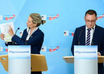 Mainstream perplex: Umfrage sieht AfD bei 19 Prozent – hilflose Reaktion: "Verfassungsfeinde"