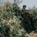 Pentagon: Gegenoffensive wird Kiews Truppen schwerfallen